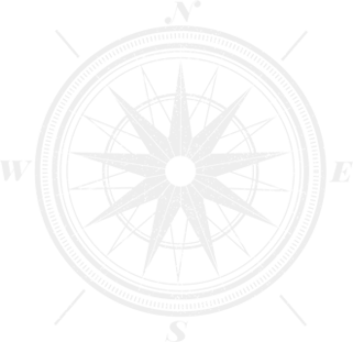 Globe vector